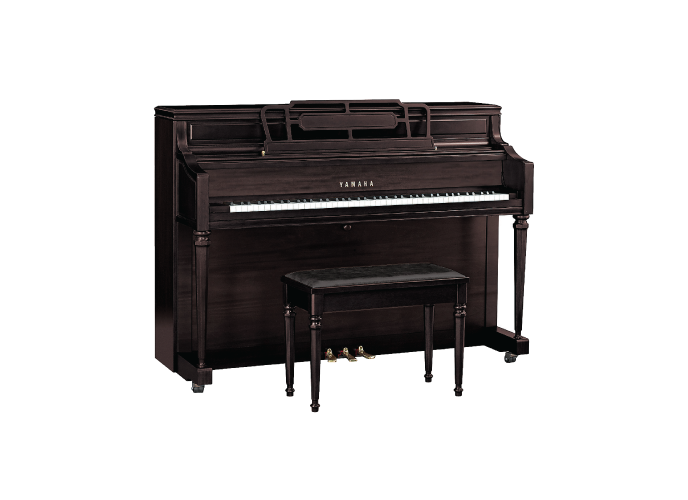 M2 product listing | Yamaha SA