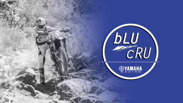 about blucru | Yamaha SA
