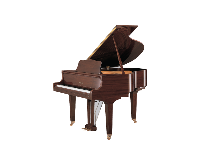 GB1K PAW product listing | Yamaha SA