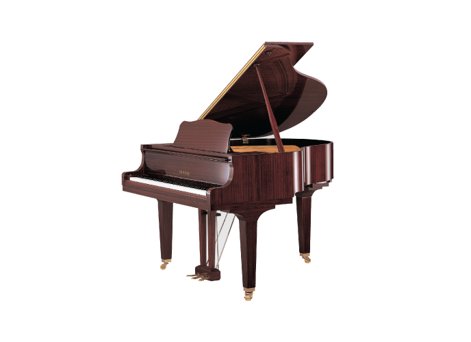 GB1K PM product listing | Yamaha SA
