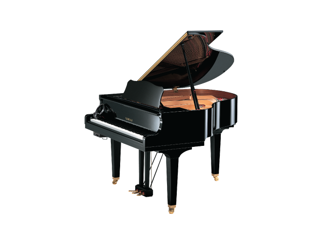 GB1K product listing | Yamaha SA