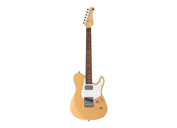 PACP11S | Electric | Guitars and Basses