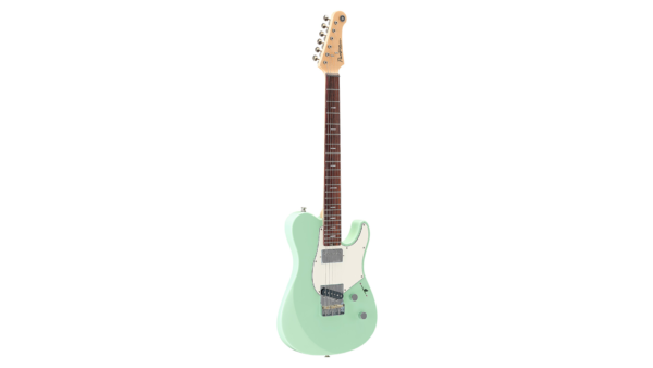 PACS+11S | Electric | Guitars and Basses